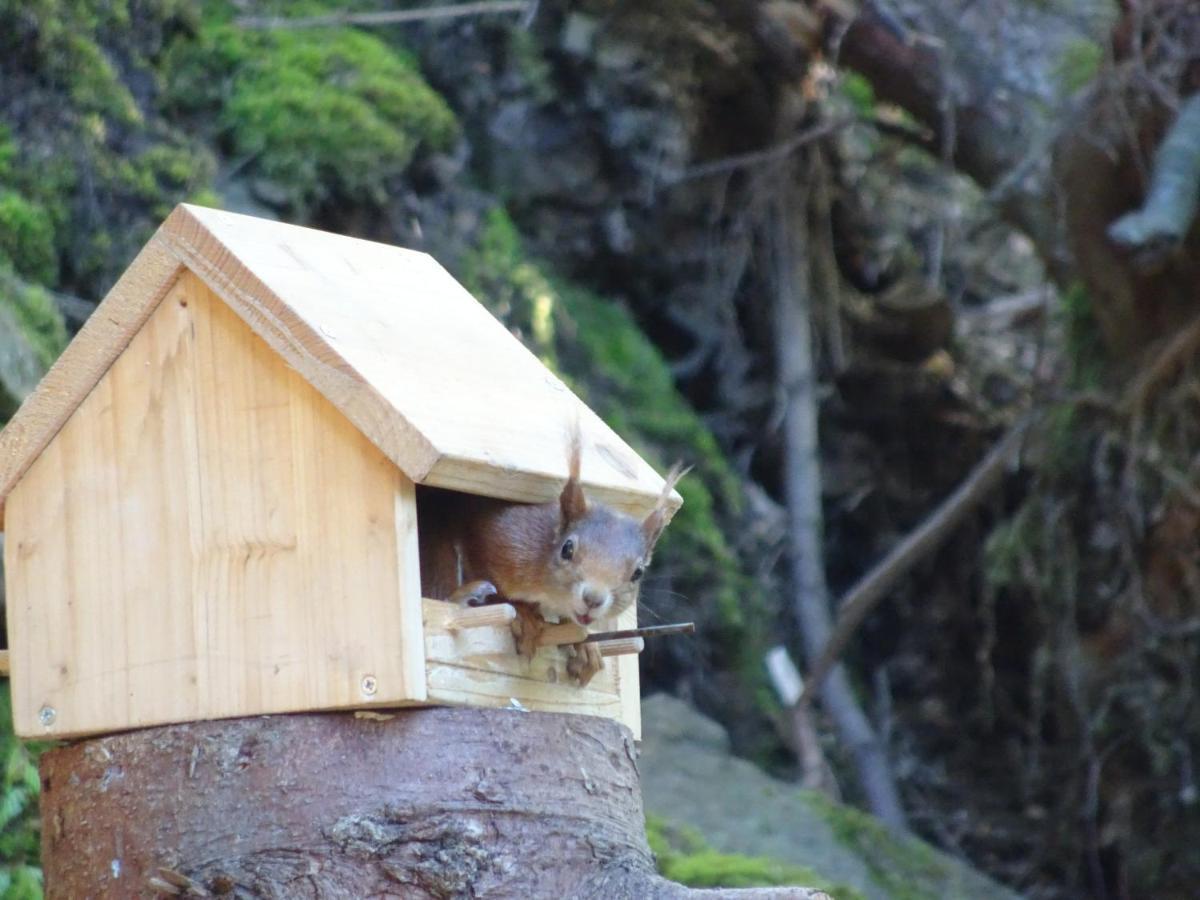 Apartmán Waldurlaub Klingelborn Im Sauerland Balve Exteriér fotografie