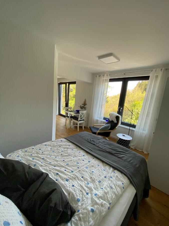 Apartmán Waldurlaub Klingelborn Im Sauerland Balve Exteriér fotografie